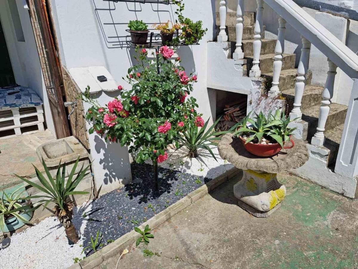 Stefan Apartman Novi Sad Exterior foto