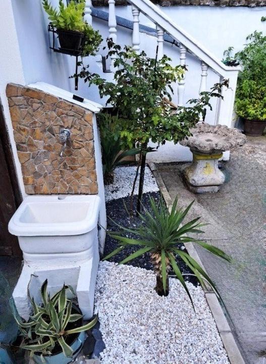 Stefan Apartman Novi Sad Exterior foto